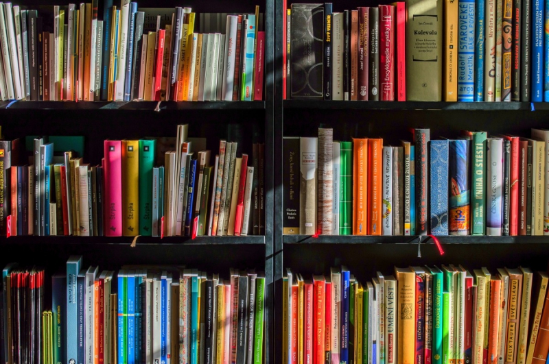 boutique-SERANON-min_books_bookstore_book_reading_shop_writer_sale_books_read-822866